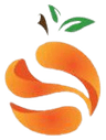 Plug Orange Site
